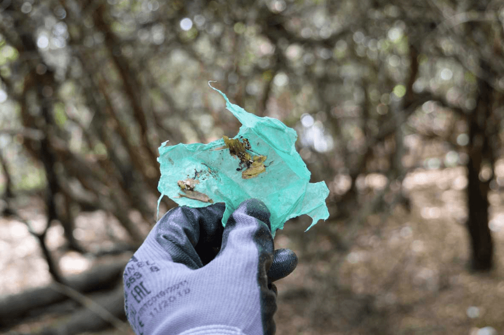 6 COMPELLING REASONS TO AVOID USE OF PLASTIC BAGS